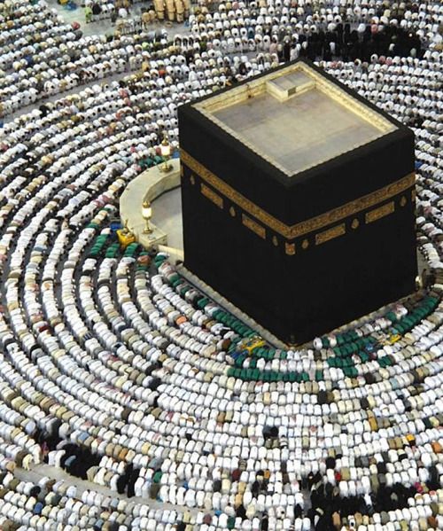 kitab Image